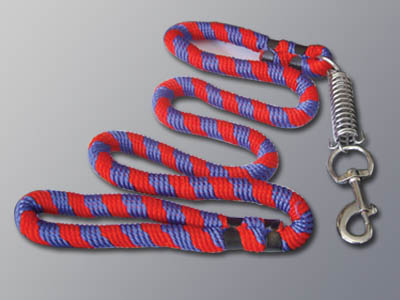 Dog Walk Belt Spring Type 