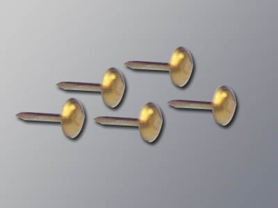 Chair Nails Brass 