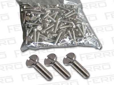 SS Machine Screws 