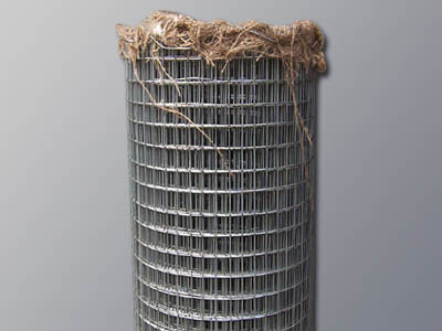 Welded Mesh GI 
